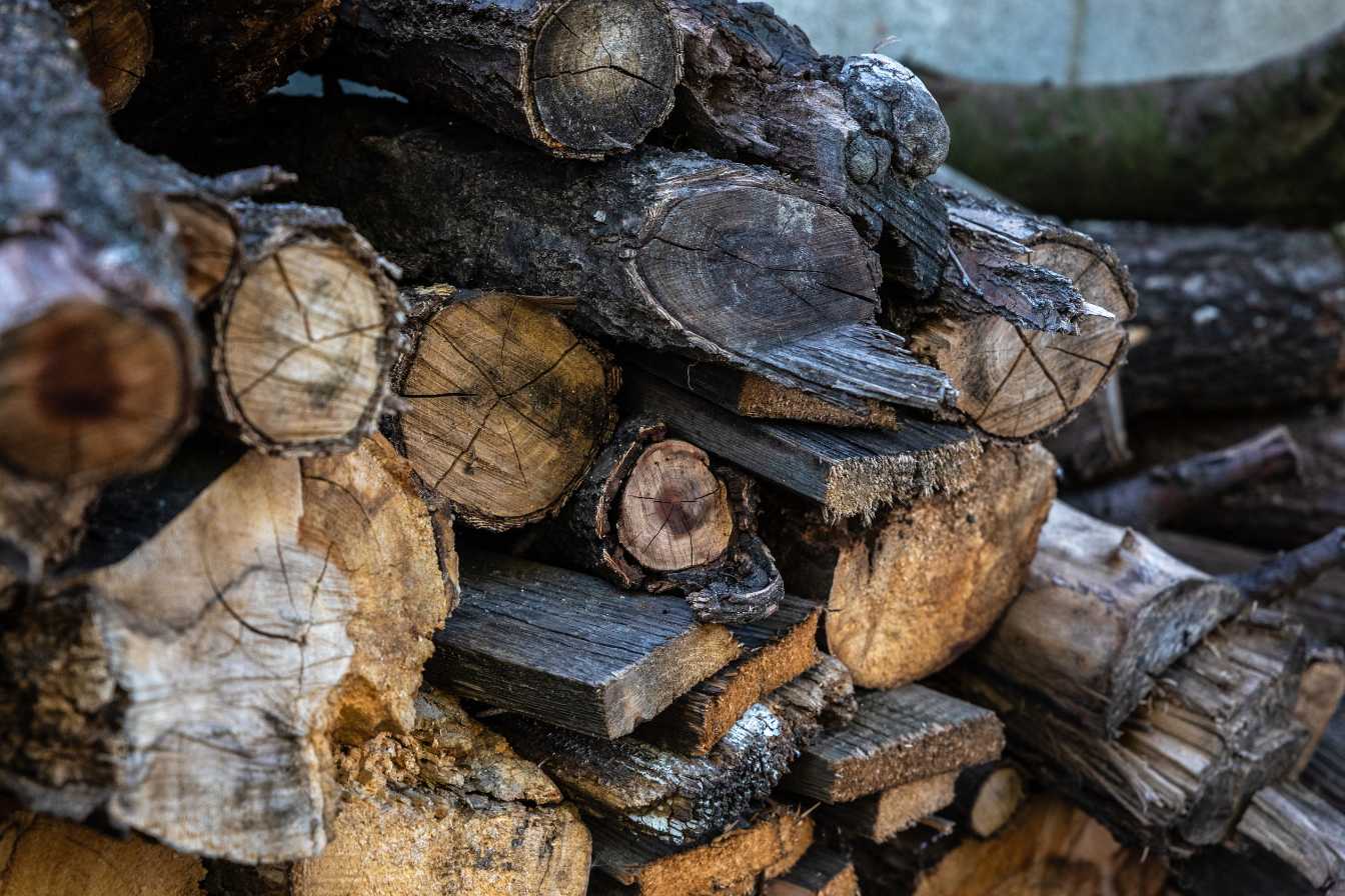 bois-de-chauffage-a-40-euros-le-stere-realite-ou-arnaque-3