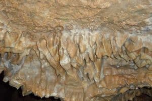 comment enlever du calcaire incruste 1