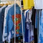 comment se debarrasser des puces methodes efficaces et solutions durables 1