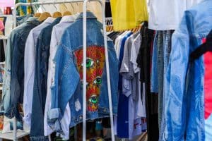 comment se debarrasser des puces methodes efficaces et solutions durables 1