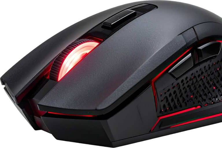 mulot ou souris les 6 differences essentielles pour les identifier chez vous 1